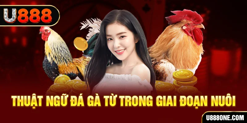 svv388 casino TRỰC TUYẾN